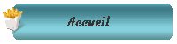 Accueil