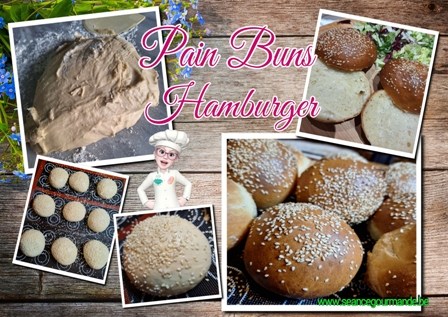 Pains Buns ou Hamburger